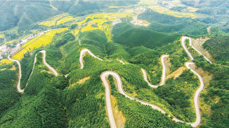 清遠的公路