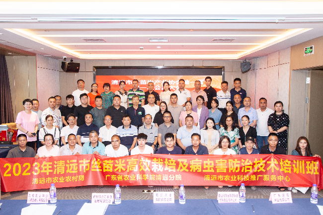 清遠舉辦絲苗米高效栽培及病蟲害防治技術(shù)培訓(xùn)班
