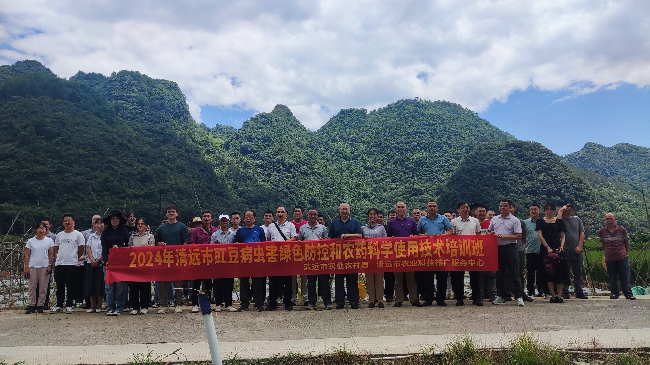2024年清遠市豇豆病蟲害綠色防控和農(nóng)藥安全使用技術(shù)培訓(xùn)班在陽山順利舉辦
